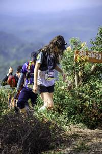 BIB: 
                            <button type="button" onclick="openModal(24769042)" class="btn btn-primary btn-sm float-right btn-popup" data-toggle="modal" data-target=".modal-high-quality">
                        <i class="fas fa-shopping-cart"></i> Add to Cart
                    </button>
                                            <button type="button" onclick="isThisMe(24769042, true)" class="btn btn-success btn-sm float-right btn-popup btn-isme hidden" data-toggle="tooltip" data-placement="bottom" title="นี่คือรูปของคุณใช่ไหม คลิกที่นี่เพื่อเอาเข้าอัลบั้ม">
                        <i class="fas fa-plus"></i> Add to album
                    </button>
                    <button type="button" onclick="isThisMe(24769042, false)" class="btn btn-warning btn-sm float-right btn-popup btn-isnotme hidden">
                        <i class="fas fa-ban"></i> Remove from album
                    </button>